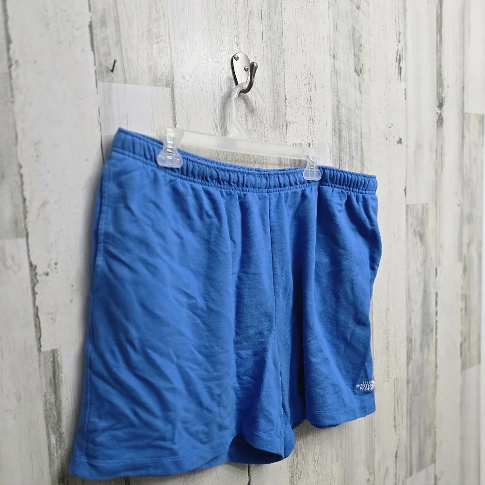The North Face Mens Blue Shorts Size XL